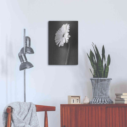 Luxe Metal Art 'Fresh Cut Daisy II' by Debra Van Swearingen, Metal Wall Art,16x24