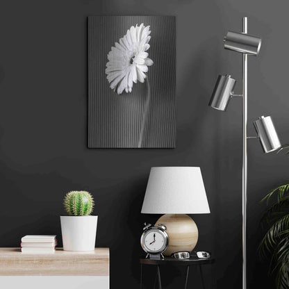 Luxe Metal Art 'Fresh Cut Daisy II' by Debra Van Swearingen, Metal Wall Art,16x24