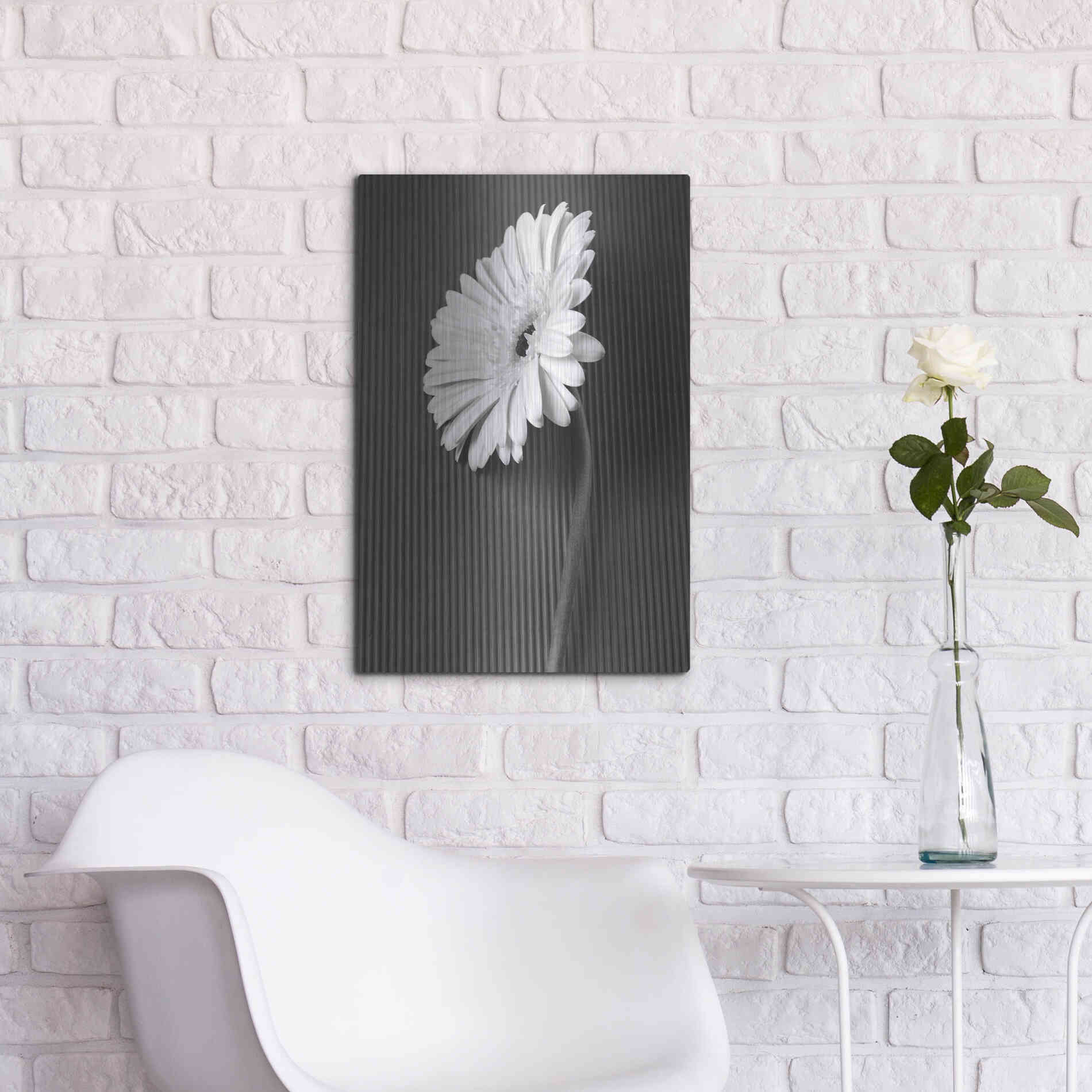 Luxe Metal Art 'Fresh Cut Daisy II' by Debra Van Swearingen, Metal Wall Art,16x24