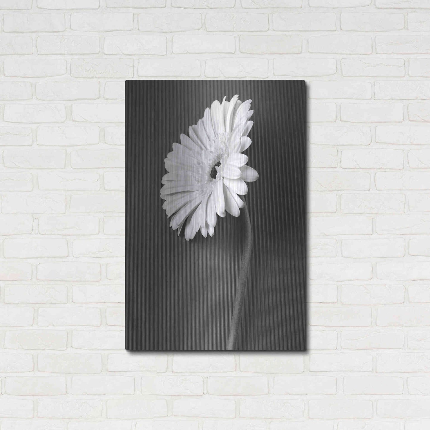Luxe Metal Art 'Fresh Cut Daisy II' by Debra Van Swearingen, Metal Wall Art,24x36