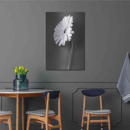 Luxe Metal Art 'Fresh Cut Daisy II' by Debra Van Swearingen, Metal Wall Art,24x36