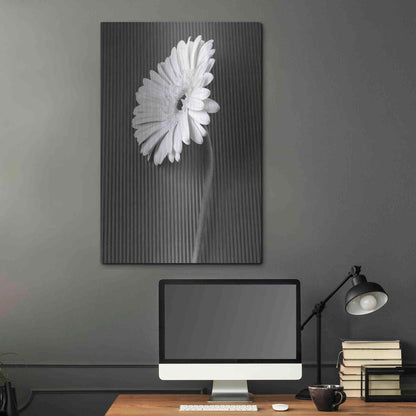 Luxe Metal Art 'Fresh Cut Daisy II' by Debra Van Swearingen, Metal Wall Art,24x36
