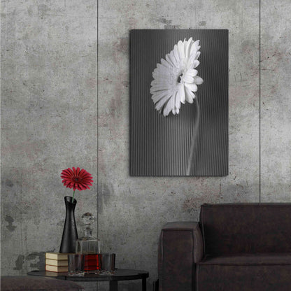 Luxe Metal Art 'Fresh Cut Daisy II' by Debra Van Swearingen, Metal Wall Art,24x36
