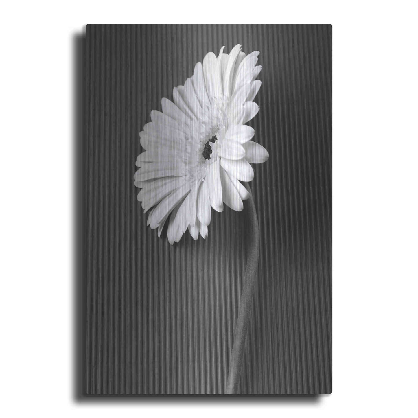 Luxe Metal Art 'Fresh Cut Daisy II' by Debra Van Swearingen, Metal Wall Art