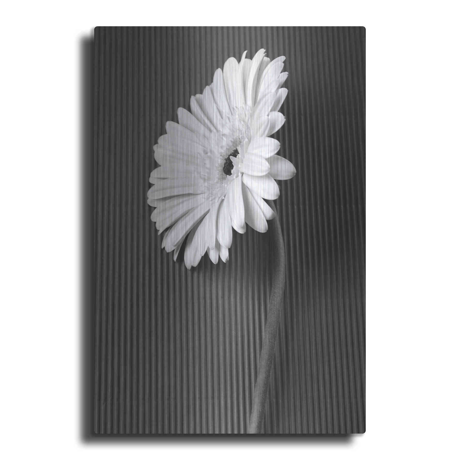 Luxe Metal Art 'Fresh Cut Daisy II' by Debra Van Swearingen, Metal Wall Art