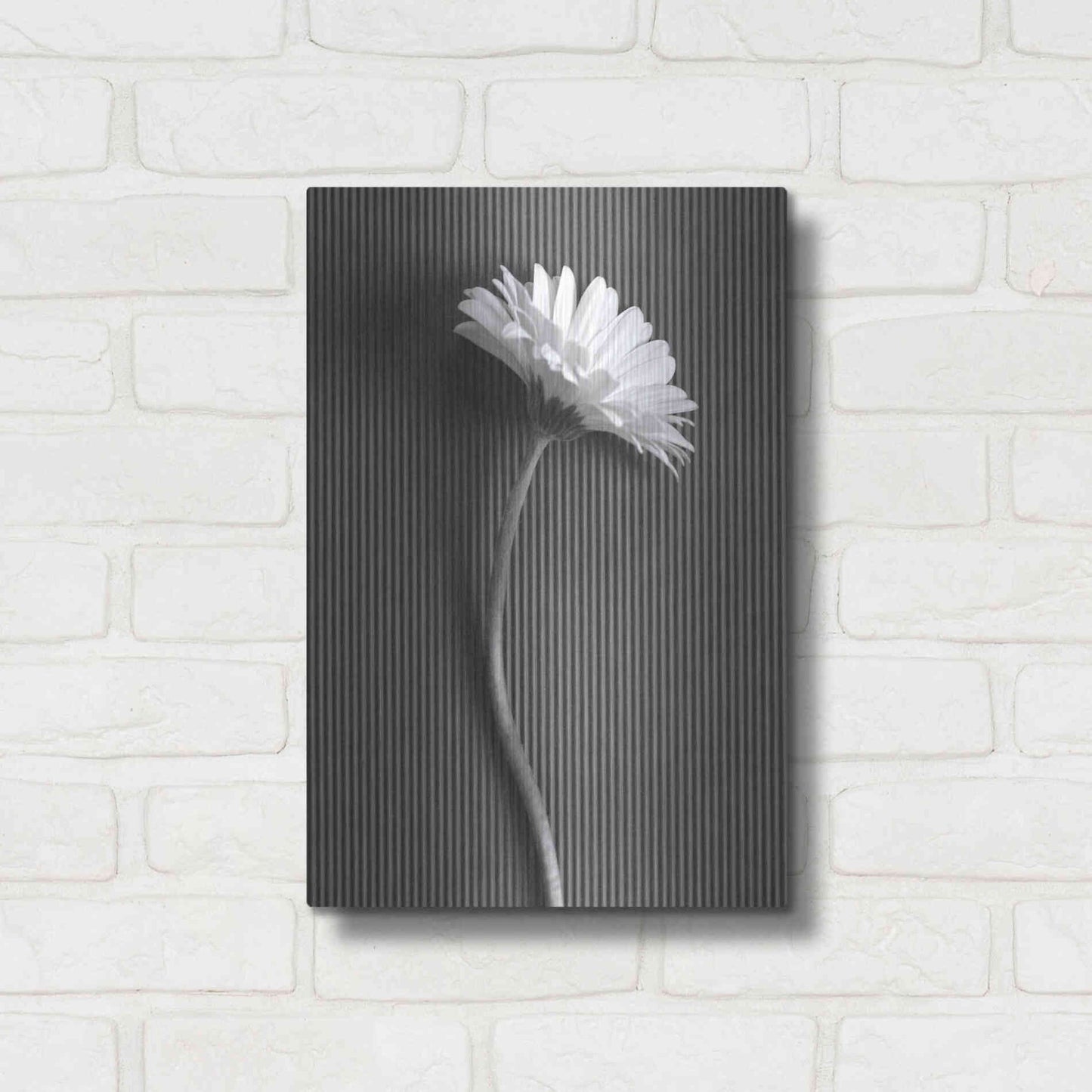 Luxe Metal Art 'Fresh Cut Daisy III' by Debra Van Swearingen, Metal Wall Art,12x16