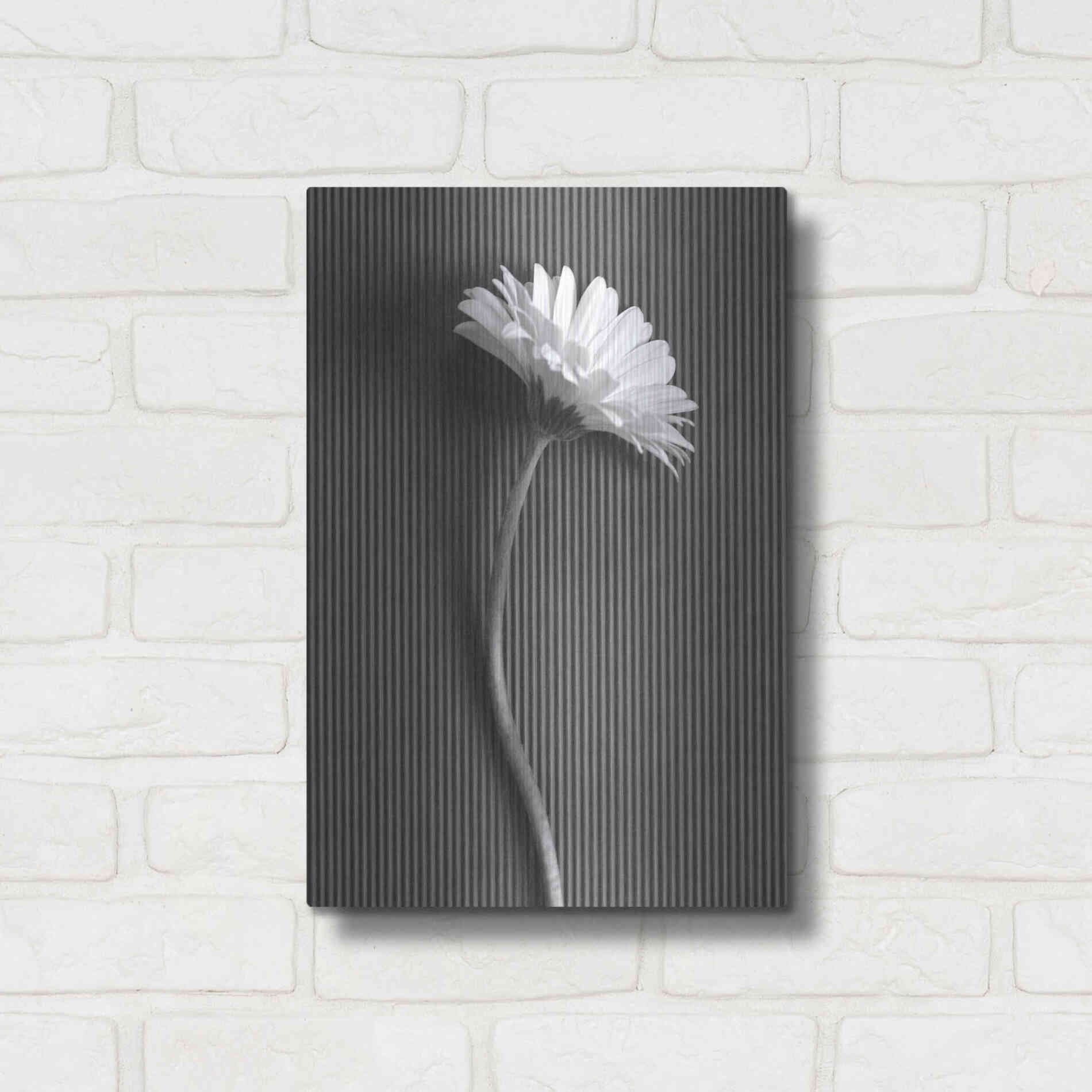 Luxe Metal Art 'Fresh Cut Daisy III' by Debra Van Swearingen, Metal Wall Art,12x16