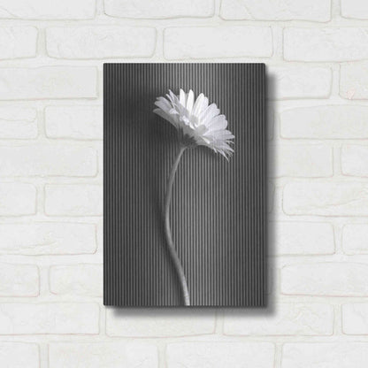 Luxe Metal Art 'Fresh Cut Daisy III' by Debra Van Swearingen, Metal Wall Art,12x16