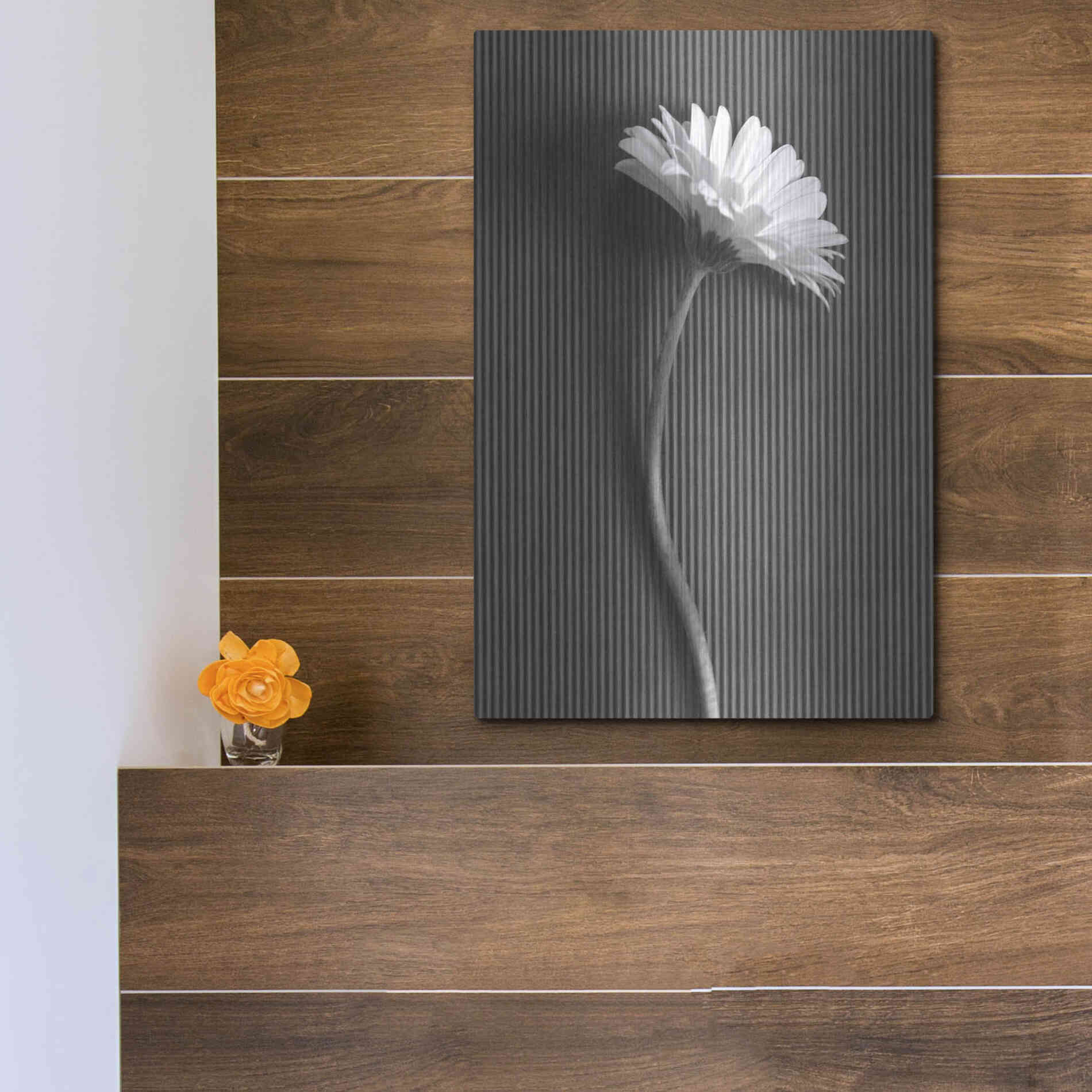 Luxe Metal Art 'Fresh Cut Daisy III' by Debra Van Swearingen, Metal Wall Art,12x16