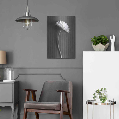 Luxe Metal Art 'Fresh Cut Daisy III' by Debra Van Swearingen, Metal Wall Art,16x24