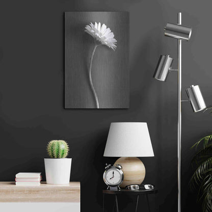 Luxe Metal Art 'Fresh Cut Daisy III' by Debra Van Swearingen, Metal Wall Art,16x24