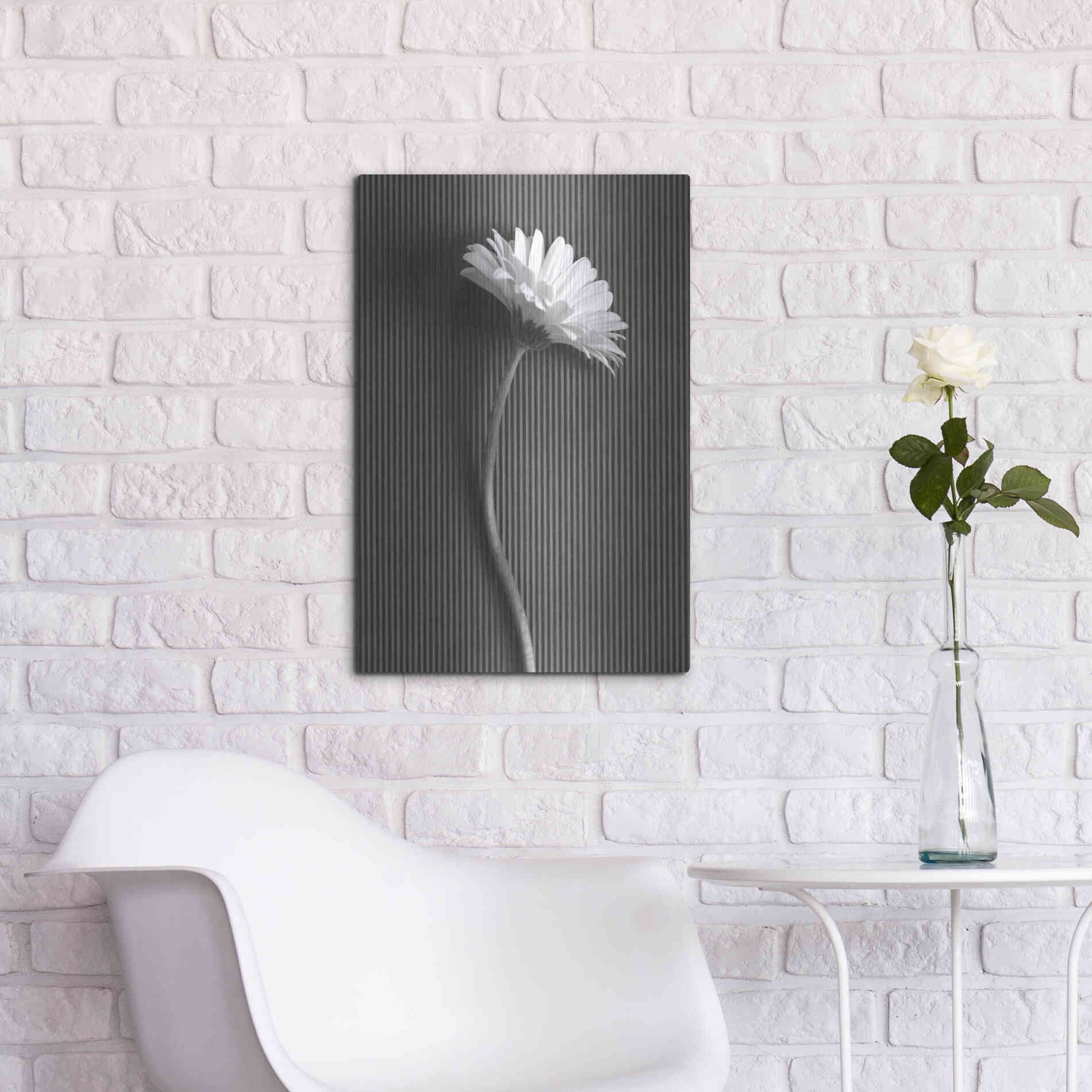 Luxe Metal Art 'Fresh Cut Daisy III' by Debra Van Swearingen, Metal Wall Art,16x24