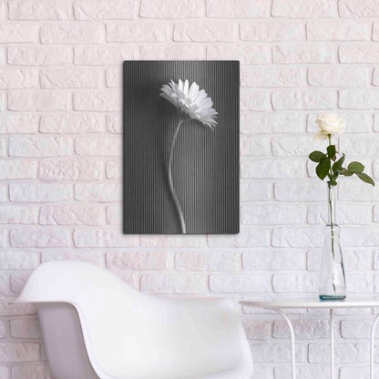 Luxe Metal Art 'Fresh Cut Daisy III' by Debra Van Swearingen, Metal Wall Art,16x24