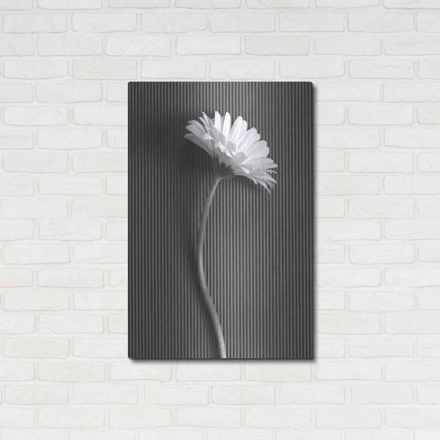 Luxe Metal Art 'Fresh Cut Daisy III' by Debra Van Swearingen, Metal Wall Art,24x36