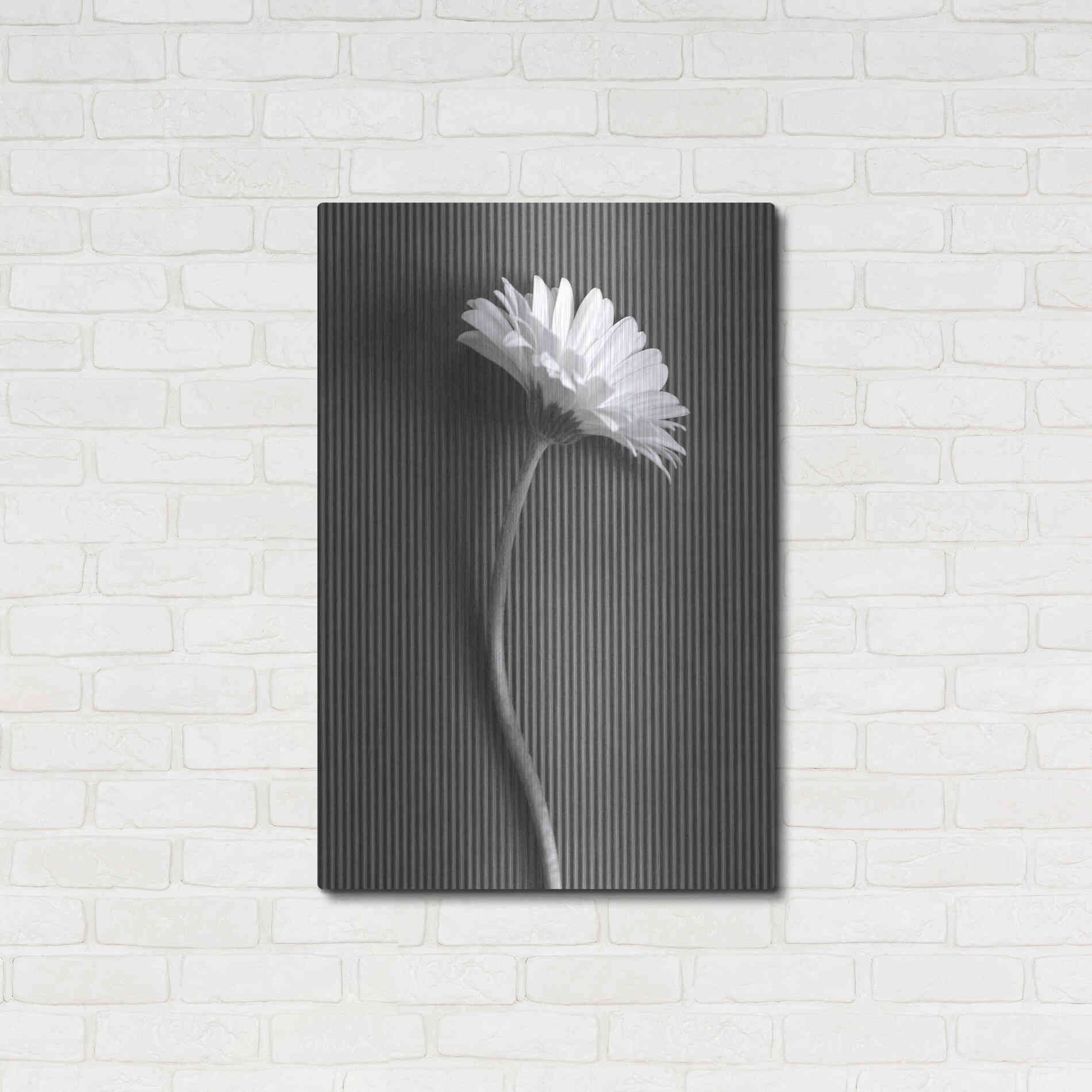 Luxe Metal Art 'Fresh Cut Daisy III' by Debra Van Swearingen, Metal Wall Art,24x36