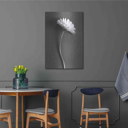 Luxe Metal Art 'Fresh Cut Daisy III' by Debra Van Swearingen, Metal Wall Art,24x36