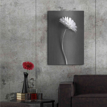Luxe Metal Art 'Fresh Cut Daisy III' by Debra Van Swearingen, Metal Wall Art,24x36
