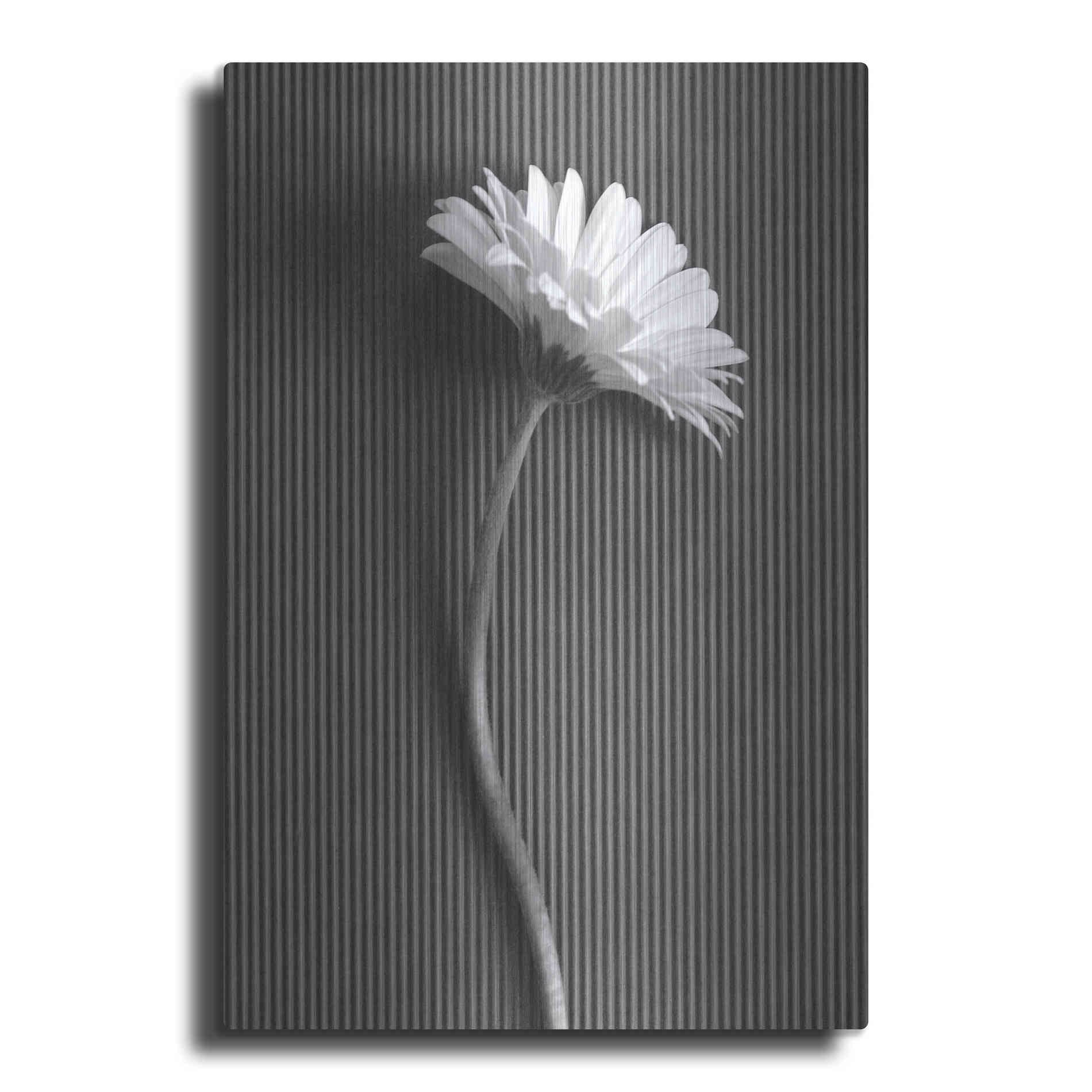 Luxe Metal Art 'Fresh Cut Daisy III' by Debra Van Swearingen, Metal Wall Art
