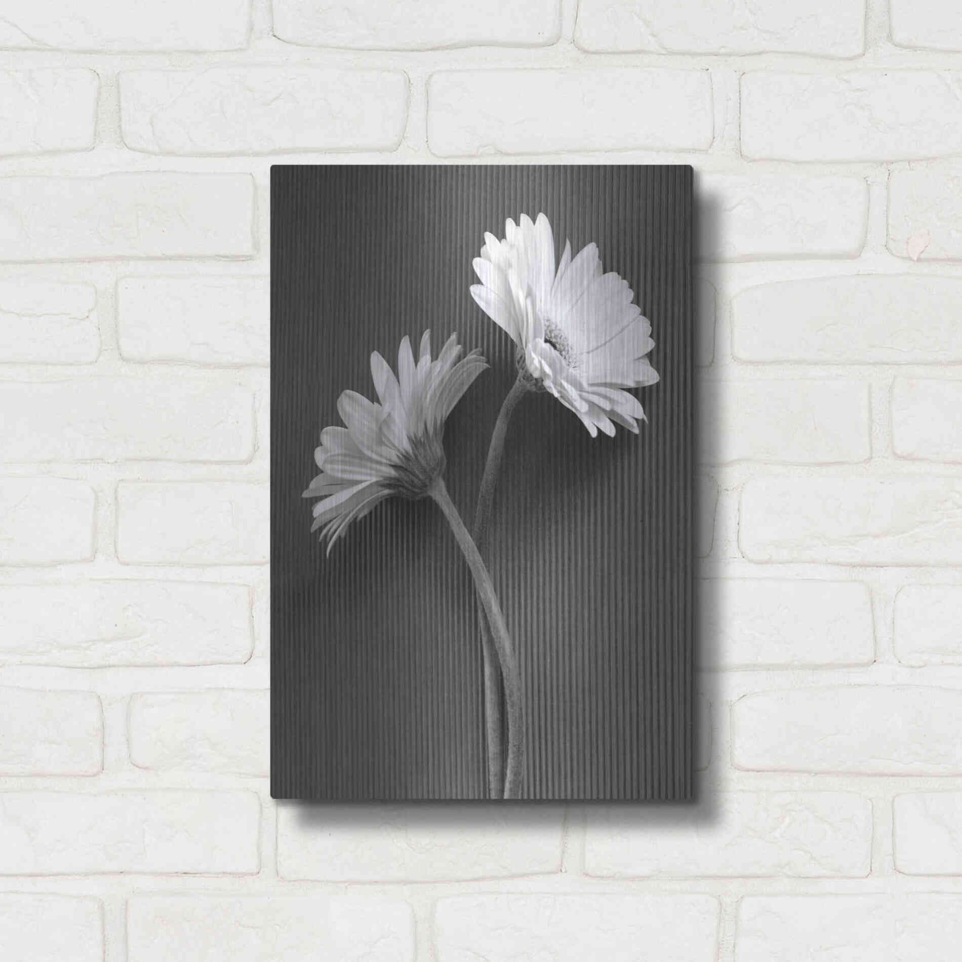 Luxe Metal Art 'Fresh Cut Daisy IV' by Debra Van Swearingen, Metal Wall Art,12x16
