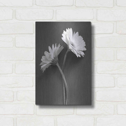 Luxe Metal Art 'Fresh Cut Daisy IV' by Debra Van Swearingen, Metal Wall Art,12x16