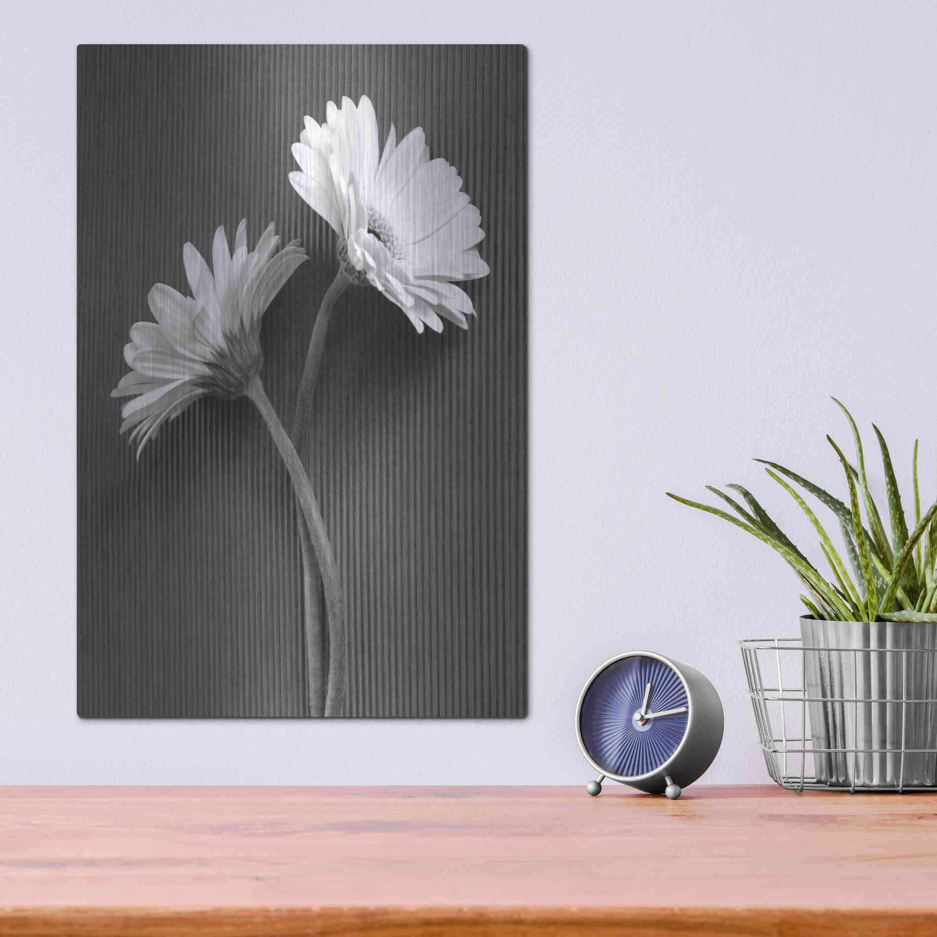 Luxe Metal Art 'Fresh Cut Daisy IV' by Debra Van Swearingen, Metal Wall Art,12x16