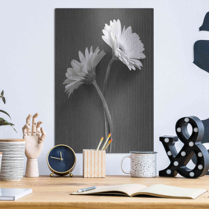 Luxe Metal Art 'Fresh Cut Daisy IV' by Debra Van Swearingen, Metal Wall Art,12x16