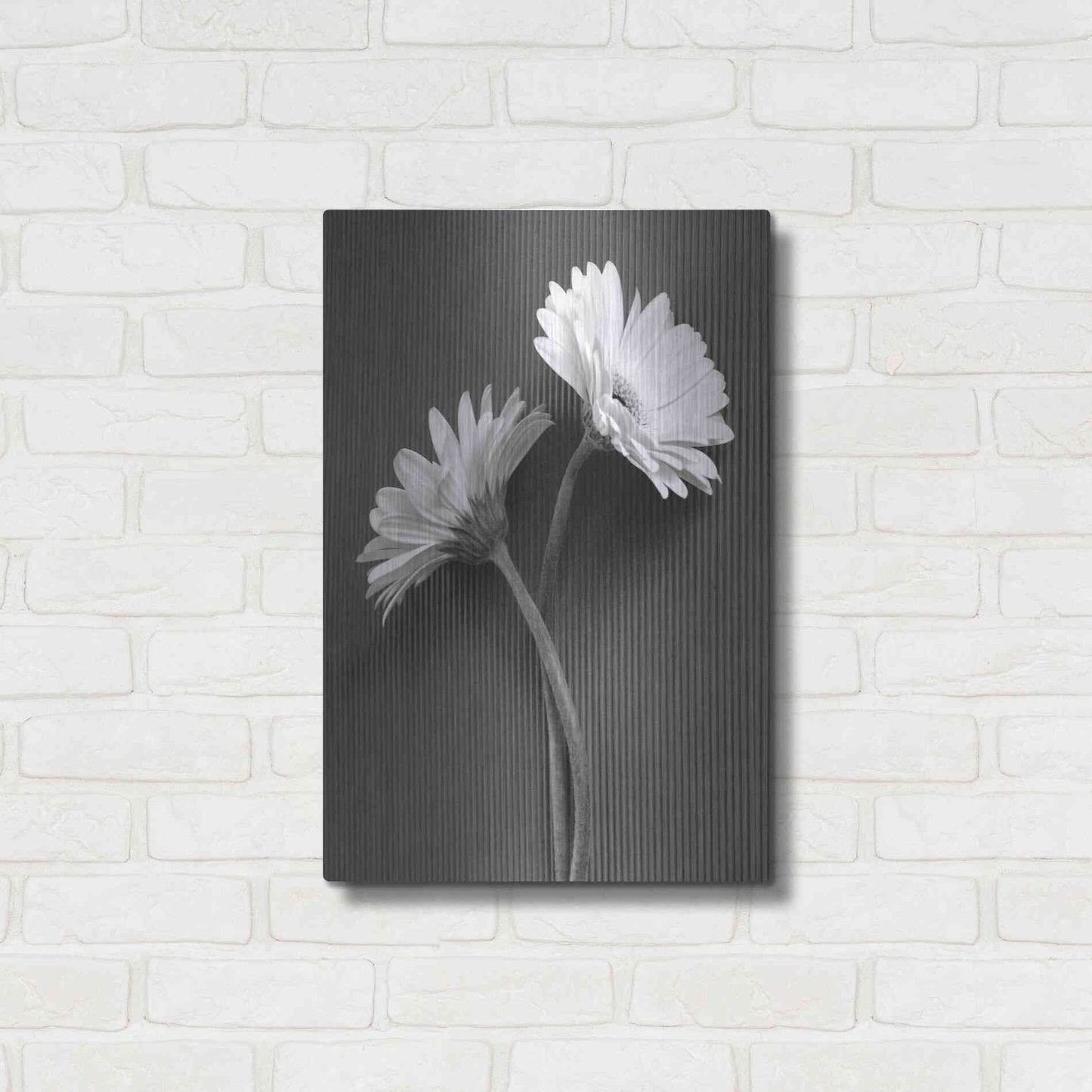 Luxe Metal Art 'Fresh Cut Daisy IV' by Debra Van Swearingen, Metal Wall Art,16x24