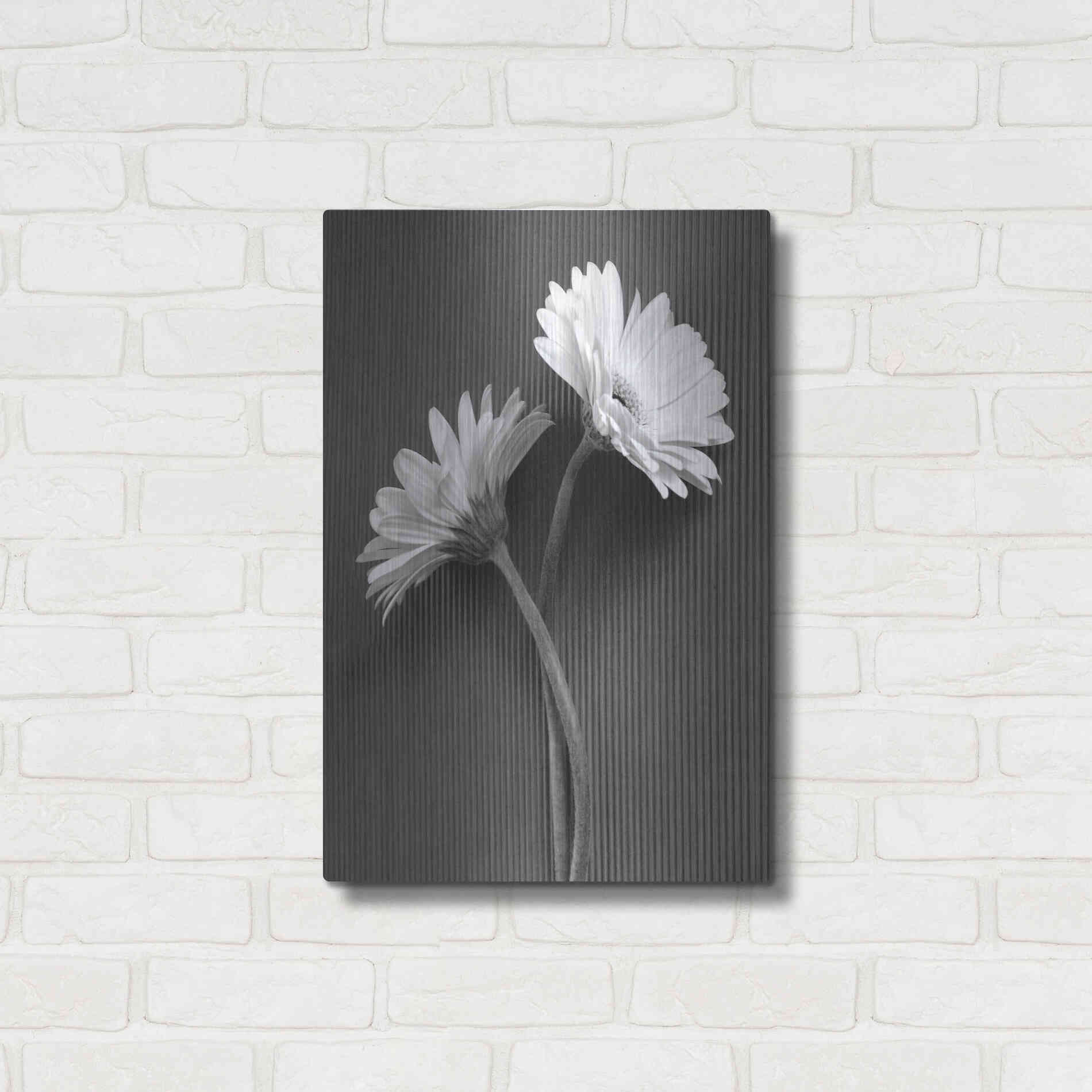 Luxe Metal Art 'Fresh Cut Daisy IV' by Debra Van Swearingen, Metal Wall Art,16x24