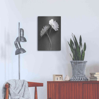 Luxe Metal Art 'Fresh Cut Daisy IV' by Debra Van Swearingen, Metal Wall Art,16x24
