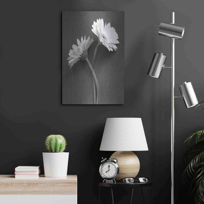 Luxe Metal Art 'Fresh Cut Daisy IV' by Debra Van Swearingen, Metal Wall Art,16x24