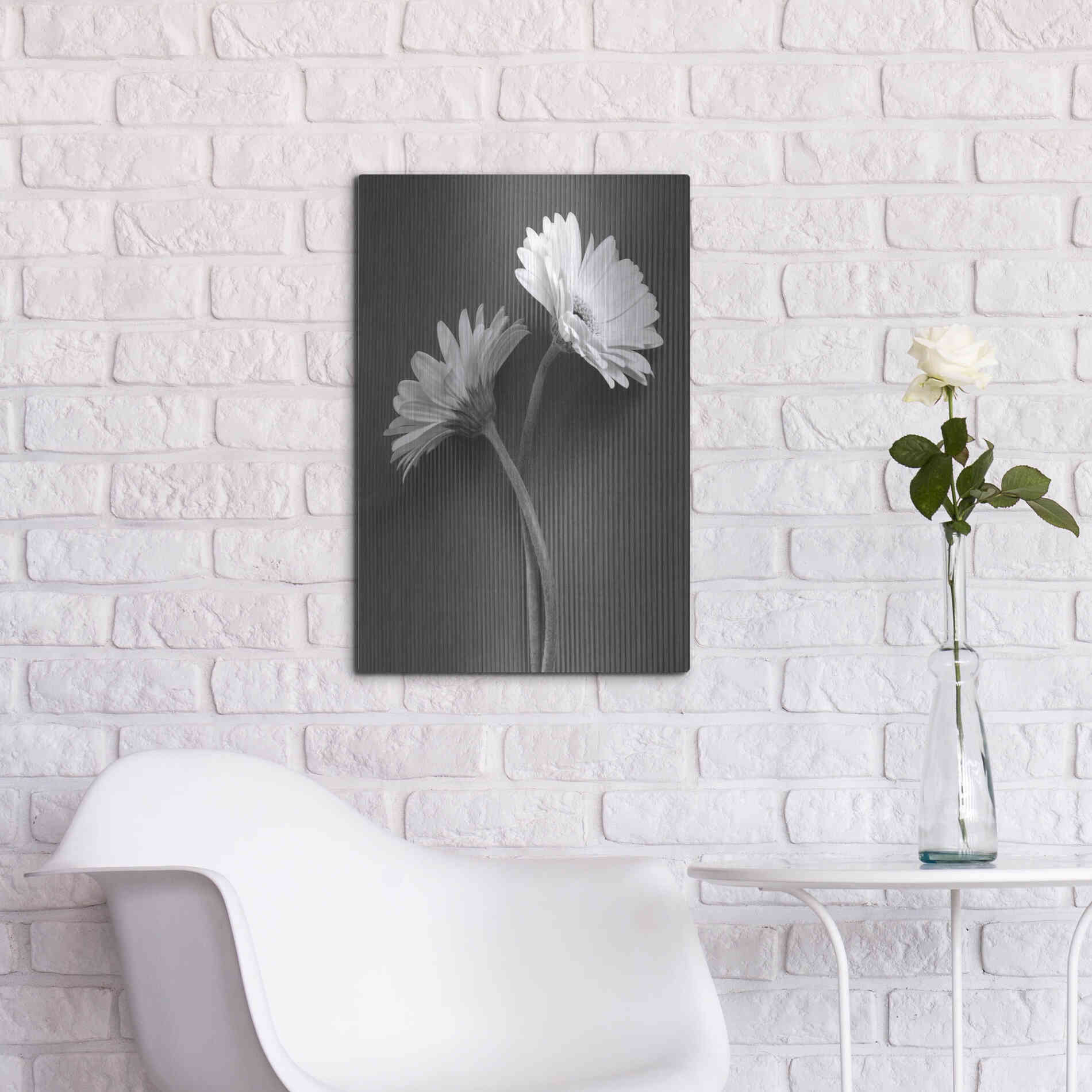 Luxe Metal Art 'Fresh Cut Daisy IV' by Debra Van Swearingen, Metal Wall Art,16x24