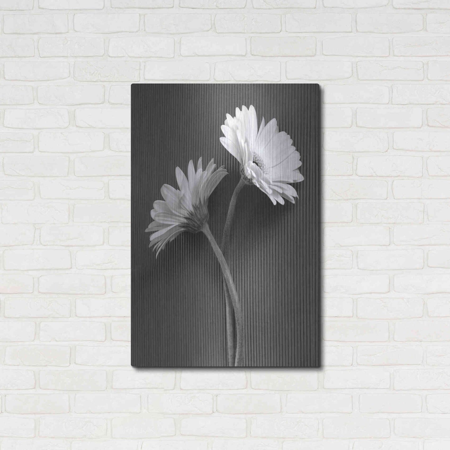 Luxe Metal Art 'Fresh Cut Daisy IV' by Debra Van Swearingen, Metal Wall Art,24x36