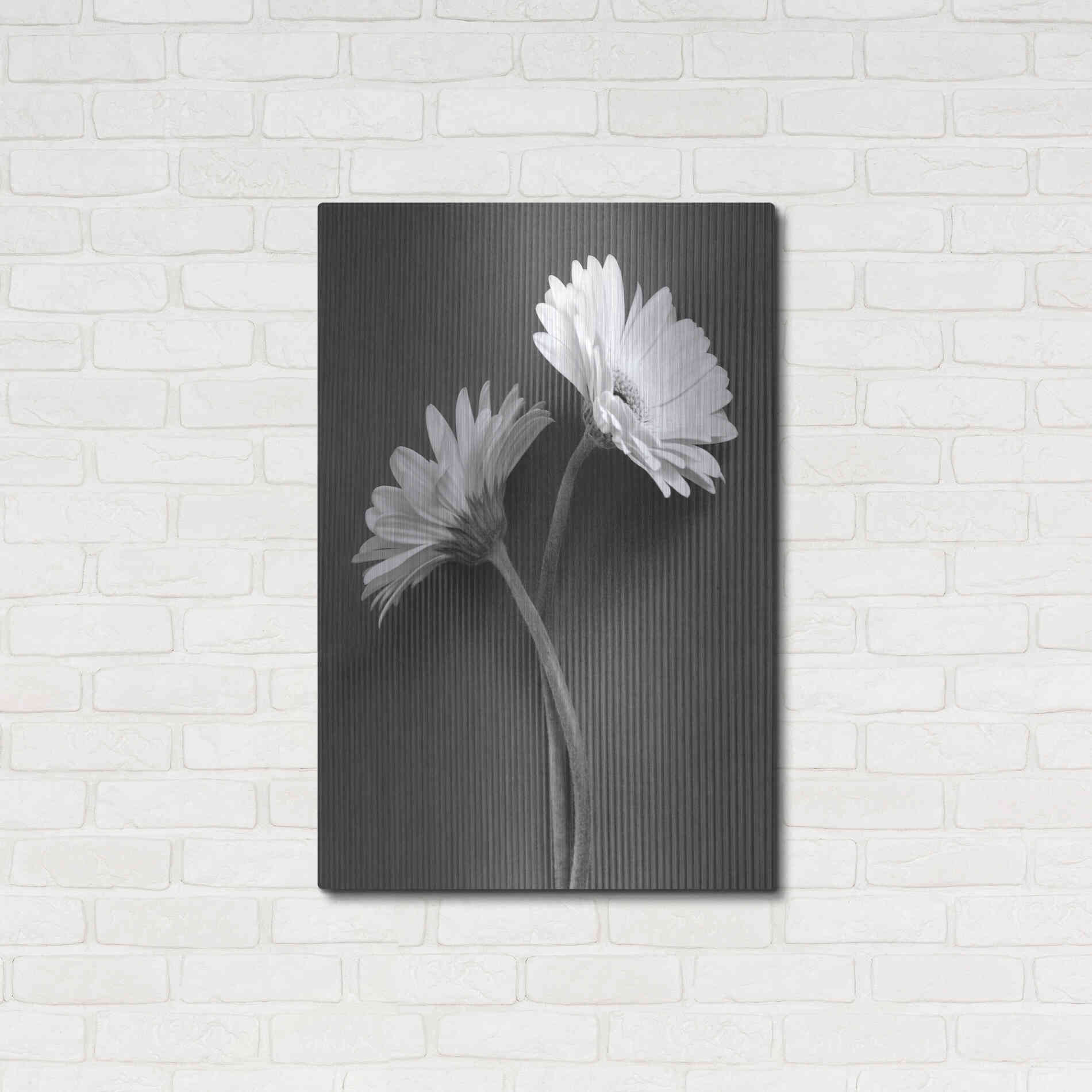 Luxe Metal Art 'Fresh Cut Daisy IV' by Debra Van Swearingen, Metal Wall Art,24x36