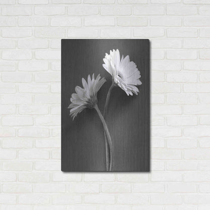 Luxe Metal Art 'Fresh Cut Daisy IV' by Debra Van Swearingen, Metal Wall Art,24x36