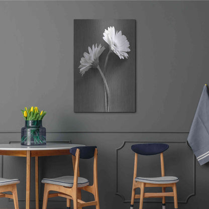 Luxe Metal Art 'Fresh Cut Daisy IV' by Debra Van Swearingen, Metal Wall Art,24x36