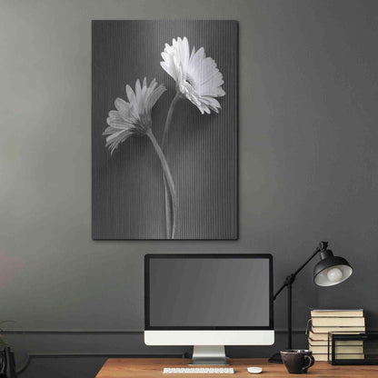 Luxe Metal Art 'Fresh Cut Daisy IV' by Debra Van Swearingen, Metal Wall Art,24x36