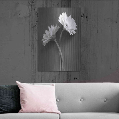 Luxe Metal Art 'Fresh Cut Daisy IV' by Debra Van Swearingen, Metal Wall Art,24x36