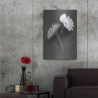 Luxe Metal Art 'Fresh Cut Daisy IV' by Debra Van Swearingen, Metal Wall Art,24x36