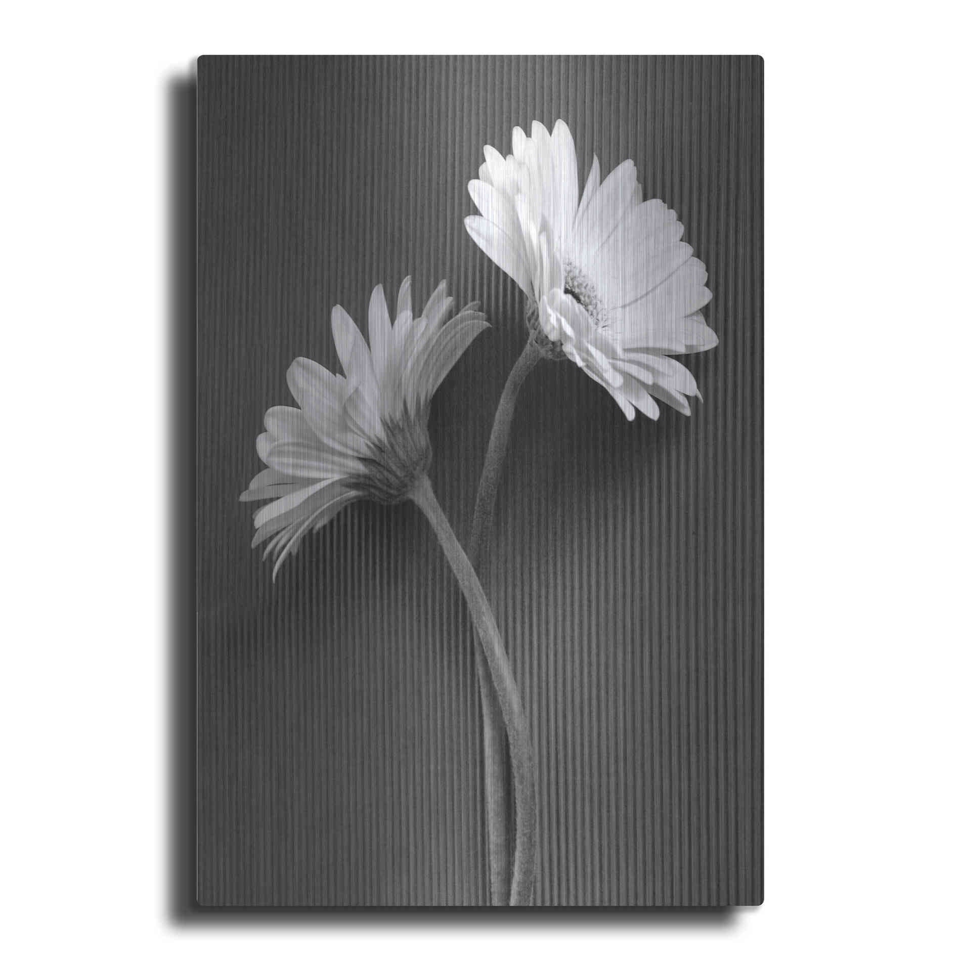 Luxe Metal Art 'Fresh Cut Daisy IV' by Debra Van Swearingen, Metal Wall Art