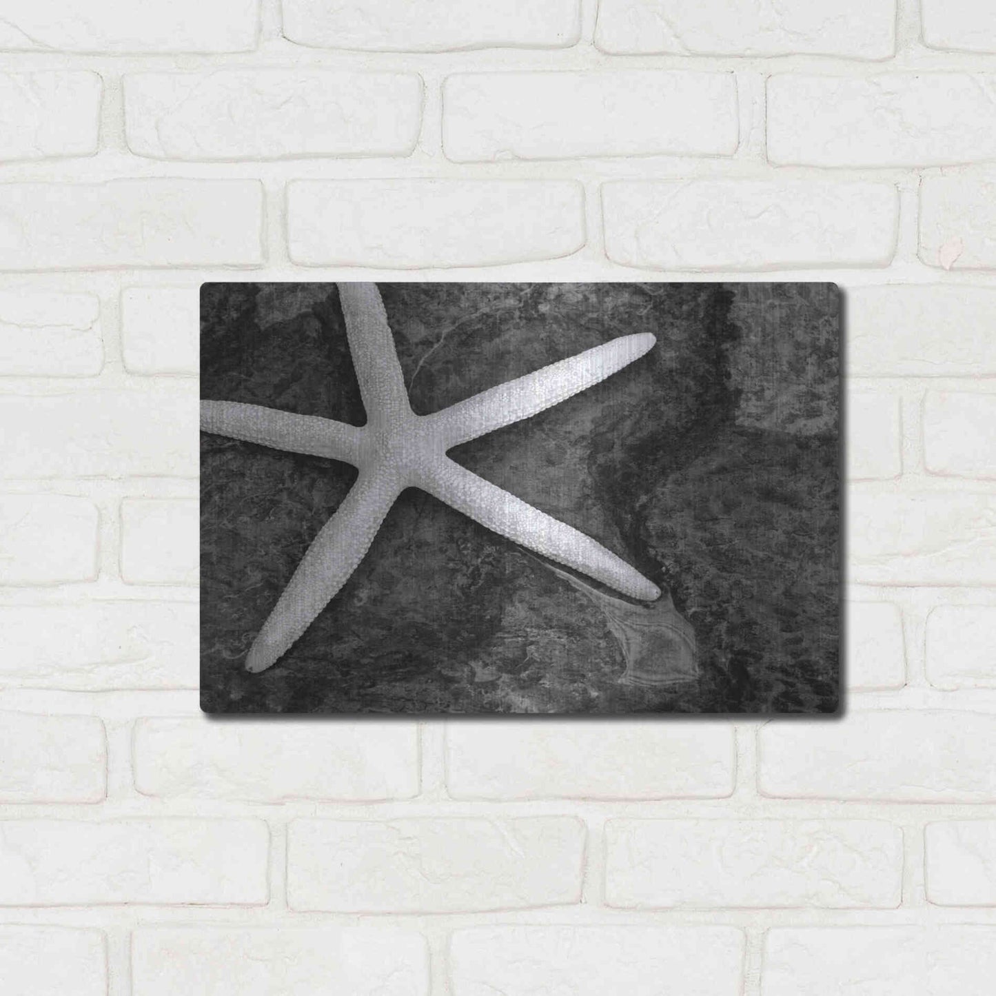 Luxe Metal Art 'Explore' by Debra Van Swearingen, Metal Wall Art,16x12