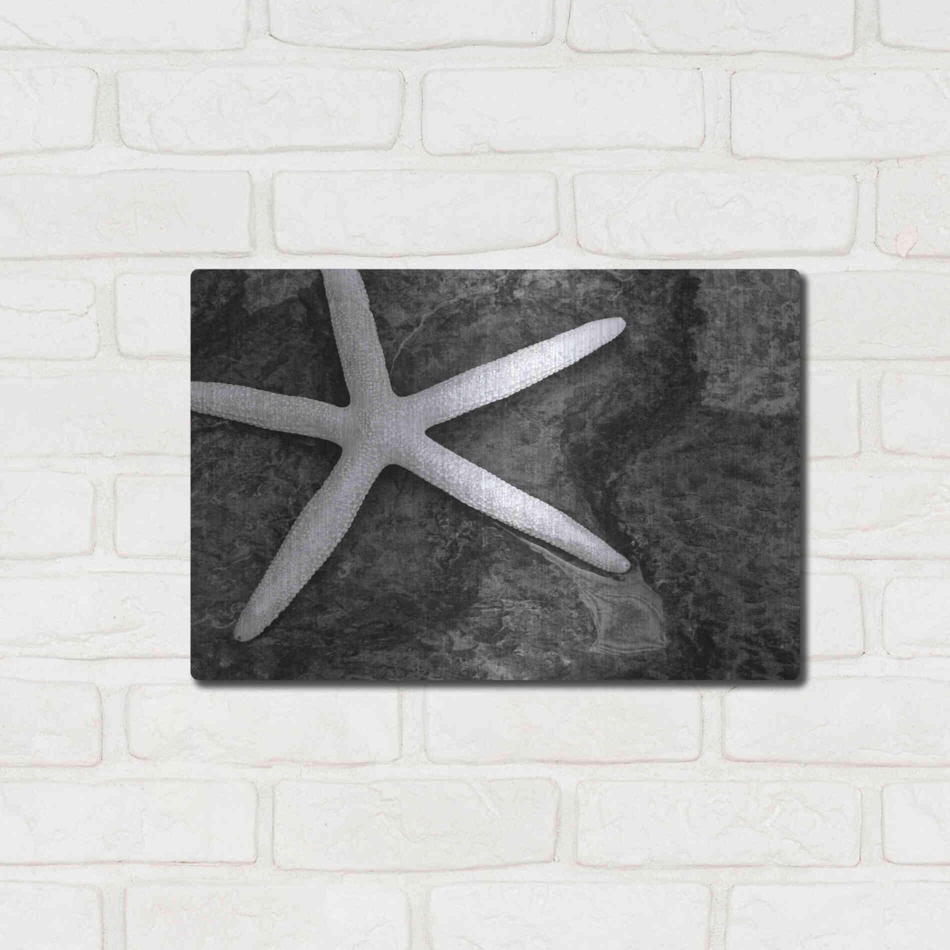 Luxe Metal Art 'Explore' by Debra Van Swearingen, Metal Wall Art,16x12