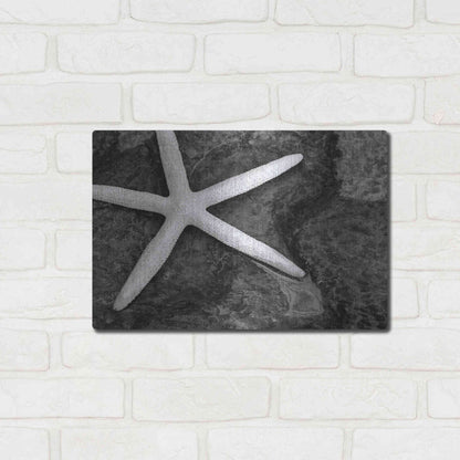 Luxe Metal Art 'Explore' by Debra Van Swearingen, Metal Wall Art,16x12