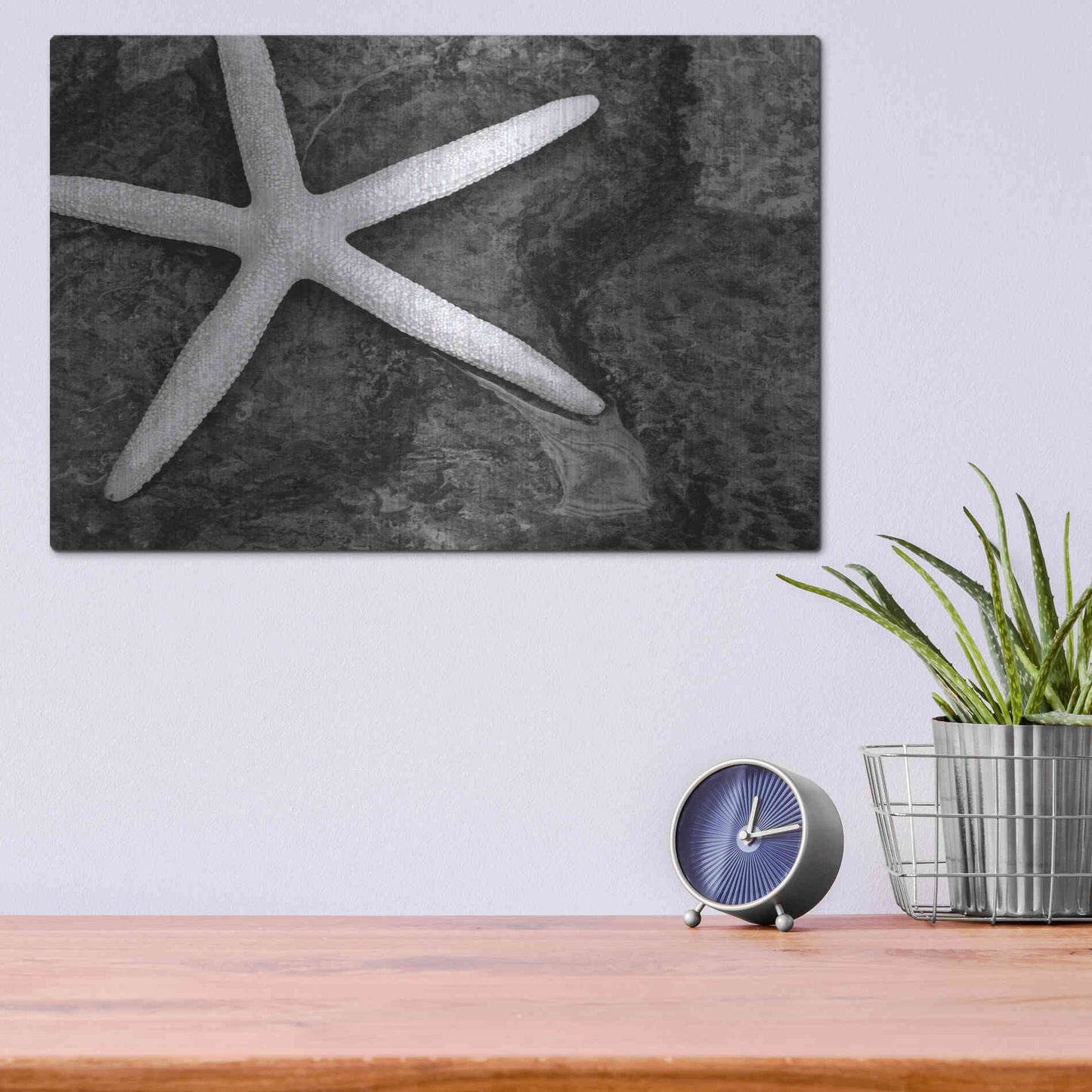 Luxe Metal Art 'Explore' by Debra Van Swearingen, Metal Wall Art,16x12