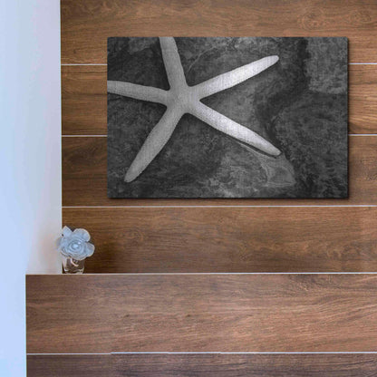 Luxe Metal Art 'Explore' by Debra Van Swearingen, Metal Wall Art,16x12