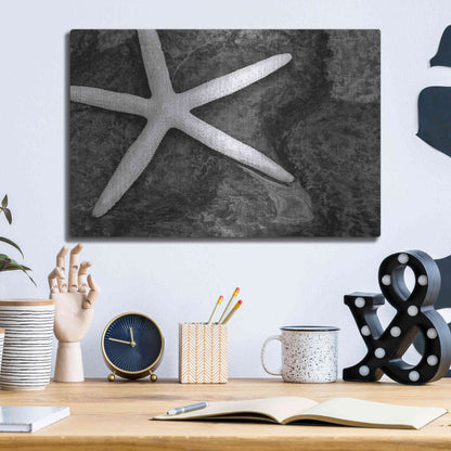 Luxe Metal Art 'Explore' by Debra Van Swearingen, Metal Wall Art,16x12