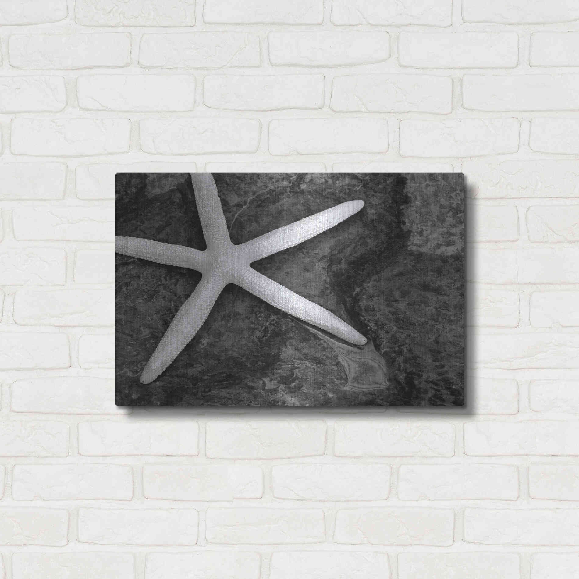 Luxe Metal Art 'Explore' by Debra Van Swearingen, Metal Wall Art,24x16