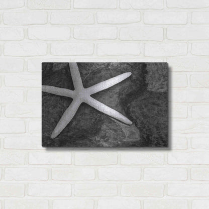 Luxe Metal Art 'Explore' by Debra Van Swearingen, Metal Wall Art,24x16