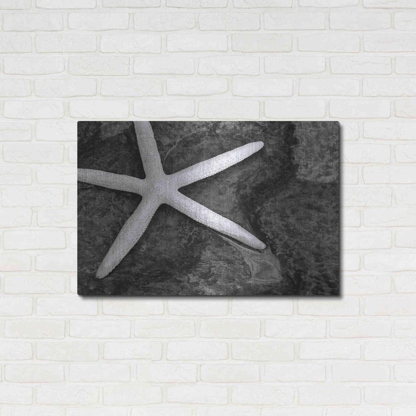 Luxe Metal Art 'Explore' by Debra Van Swearingen, Metal Wall Art,36x24