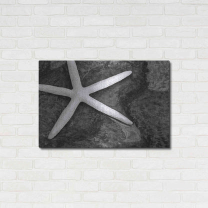 Luxe Metal Art 'Explore' by Debra Van Swearingen, Metal Wall Art,36x24