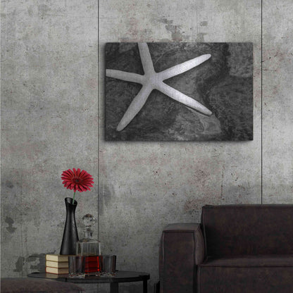 Luxe Metal Art 'Explore' by Debra Van Swearingen, Metal Wall Art,36x24